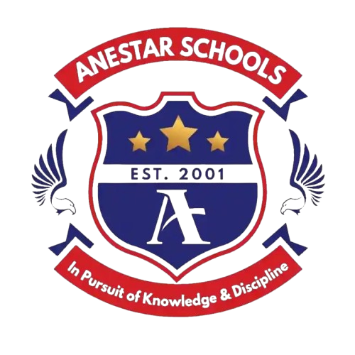 Anestar Schools